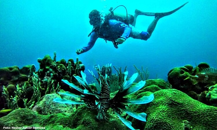 Se realizó con éxito proyecto para salvar arrecifes en el PNN Corales del Rosario