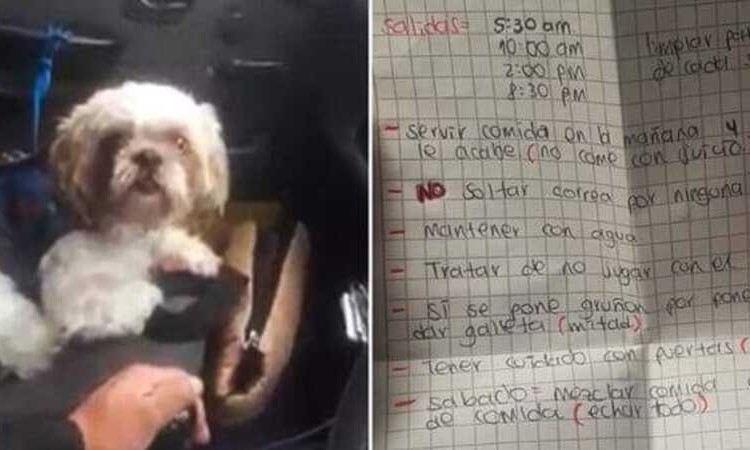 Taxista en Bogotá adopta a perro que abandonaron en su carro con todo y nota