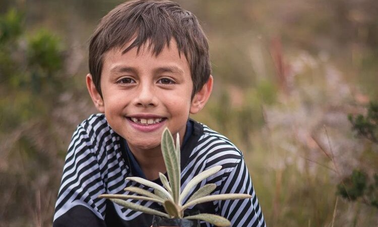 Josué, el niño de 9 años que cuida frailejones y salva los páramos del país