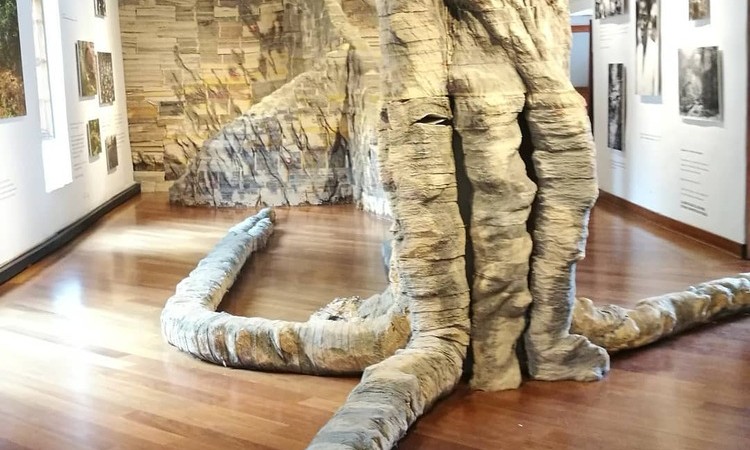 Sabías que en Bogotá hay un gigantesco árbol hecho de papel