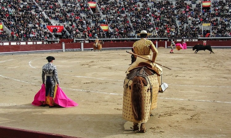 Prohibición progresiva de corridas de toros fue aprobada en el Senado