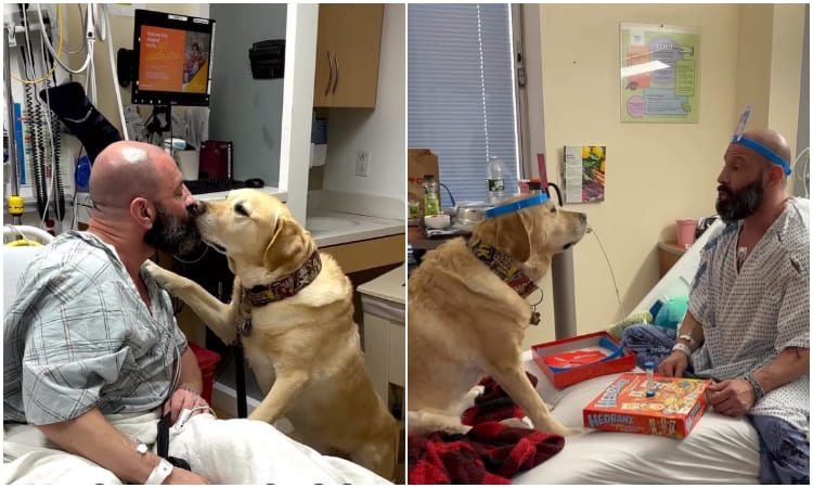 En un hospital, dieron el visto bueno para que perrito acompañara a su dueño enfermo