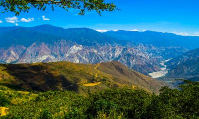 Descubren en Santander planta con mejores propiedades combustibles que el carbón