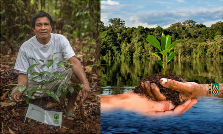 Marcas de moda colombianas donaran parte de sus ganancias para reforestar el Amazonas
