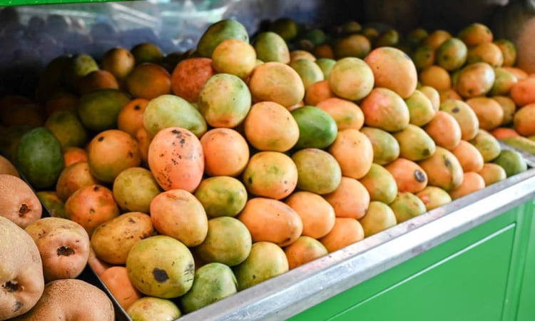 Por primera vez Colombia exportó mango de azúcar a Estados Unidos