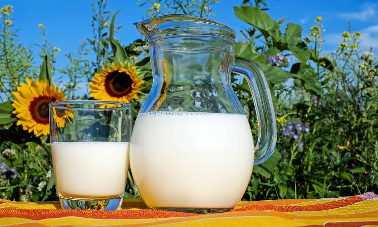 Desmienten mitos sobre el consumo de la leche