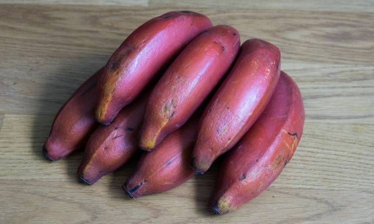 Así es el extraño banano morado que cultivan en Colombia, es una delicia
