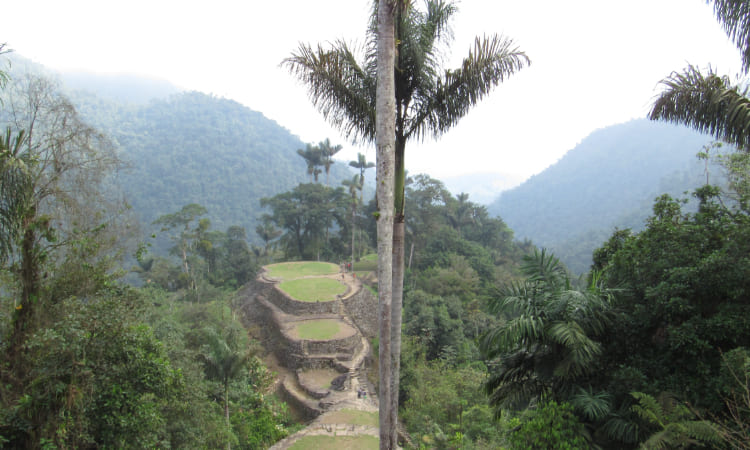 Razones para conocer Ciudad Perdida en Santa Marta