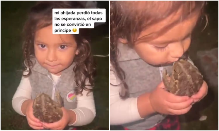 Niña besó a un sapo y quedó aterrada cuando no se convirtió en príncipe