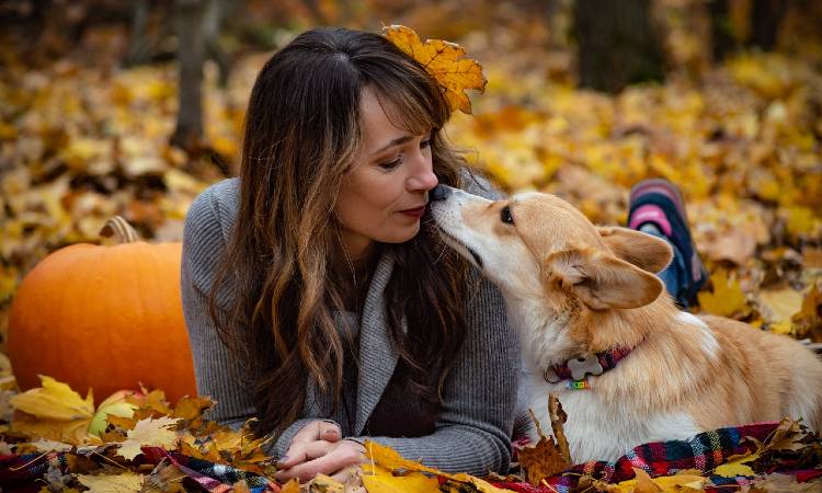 La razón por la que tu perro te mira fijamente a los ojos