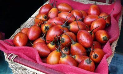 ¿Qué enfermedades ayuda a prevenir el jugo de tomate de árbol?