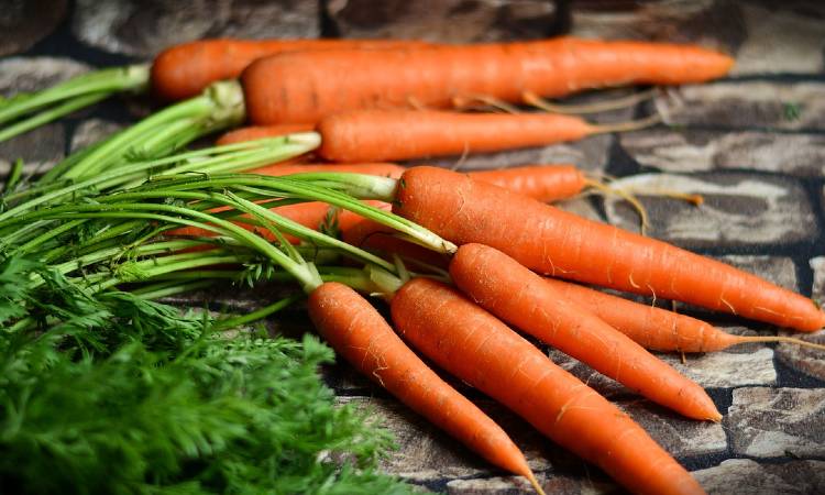Así puede consumir zanahoria para mejorar su salud visual