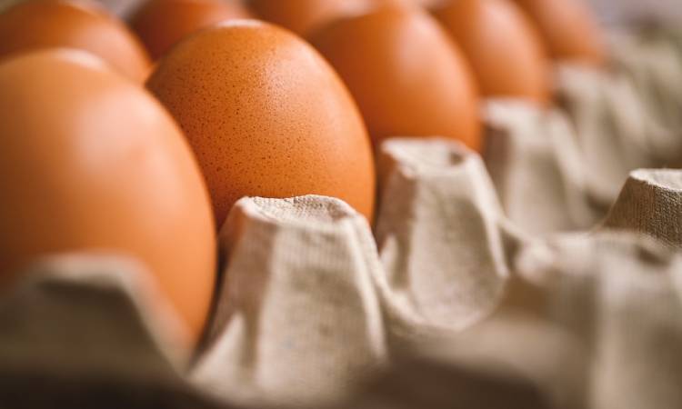 Este es el truco para saber si un huevo está fresco sin abrirlo