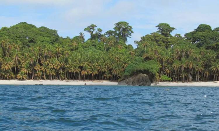 Descubre uno de los secretos mejor guardado de Colombia: la mágica Isla Gorgona