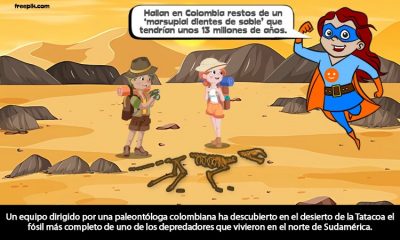 Hallazgo arqueológico en Colombia