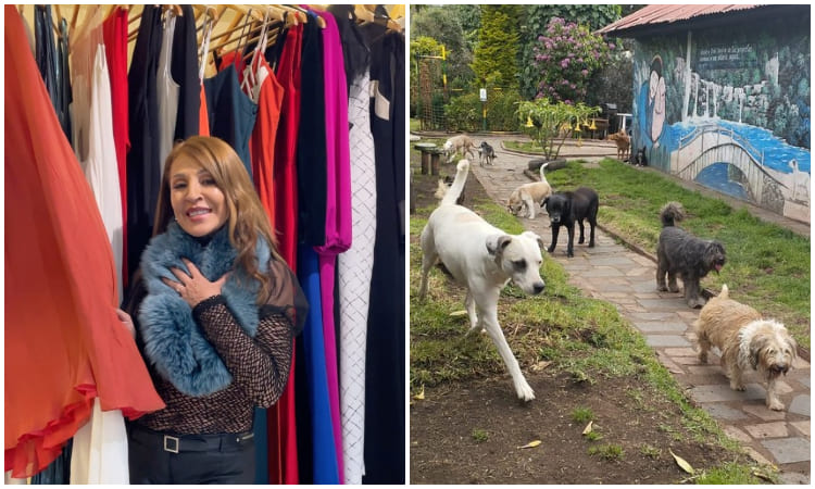 Amparo Grisales vende su ropa para recaudar fondos y dar hogar a perros de la calle