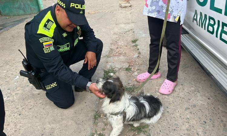 Policía del Atlántico organizó cena especial para perritos de la calle