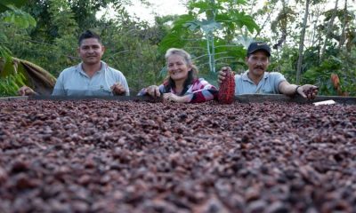 Cacaoteros de Colombia participaron en la feria 'Chocoa' en Ámsterdam