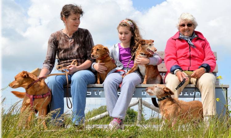 Abuela le deja su herencia a sus mascotas porque sus hijos nunca la visitaron