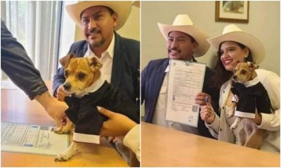 Un perro sirvió como testigo de una boda y hasta firmó
