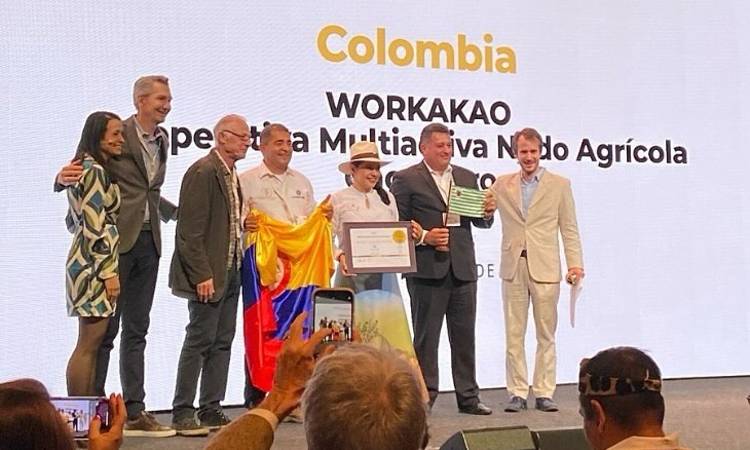 Cacao colombiano gana oro como el mejor del mundo
