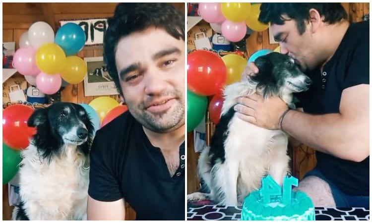 Hombre festeja el cumpleaños a su perro 'viejito' y conmociona a Latinoamérica