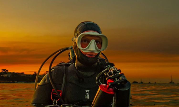 Buceaba en el mar y un pulpo la guió hasta un lugar inédito en el fondo