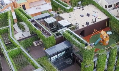 El jardín vertical más grande del mundo está en esta ciudad de Colombia