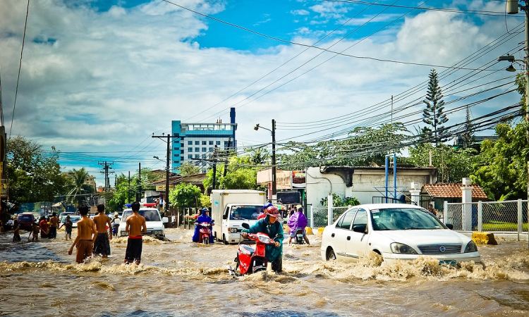 Emotiva reacción de perrito rescatado en medio de una grave inundación