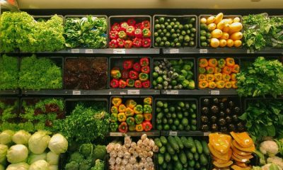 Alimentos