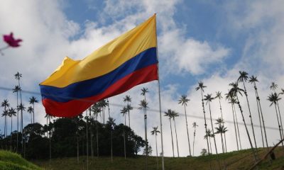 Valle del Cocora Colombia