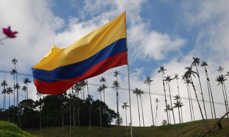 Valle del Cocora Colombia